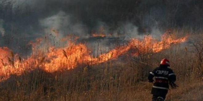 Neobişnuit: în primele două luni ale anului au fost şase incendii de vegetaţie uscată în judeţ