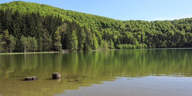 Dr. Máthé István despre Lacul Sfânta Ana: „Vorbim deja despre un lac eutrof, care tinde spre hipertrof, care devine de fapt un heleşteu”