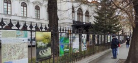 Expoziţii MNCR la Muzeul Municipiului Bucureşti/Palatul Suţu