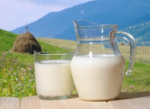nuecota
