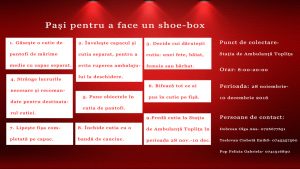 instructiuni-shoebox