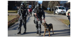 police
