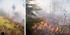 incendiuCsiszer
