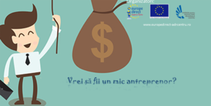 mic antreprenor