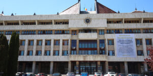 joc cu mafia ursului