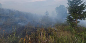 incendiu padure