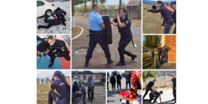 pregtarire centru gheorgheni