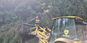 interventie-copaci-ISU