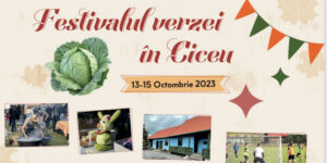 festivalul-verzei
