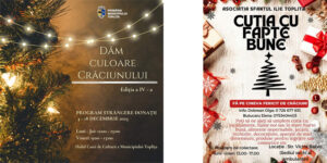 actiuni-caritabile-Toplita