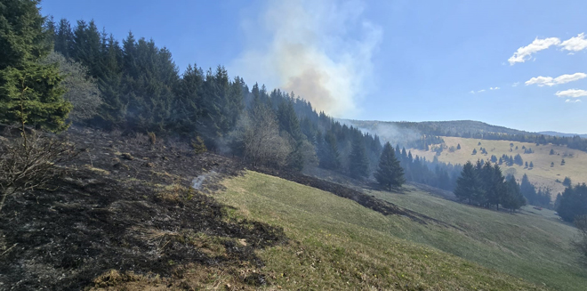 incendiu vegetatie