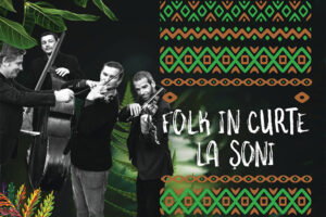 folk in curte