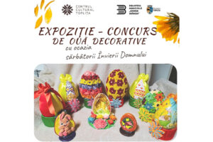 expozitie oua Toplita
