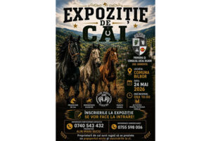 expozitie Cai
