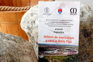 expozitie Baile Figa
