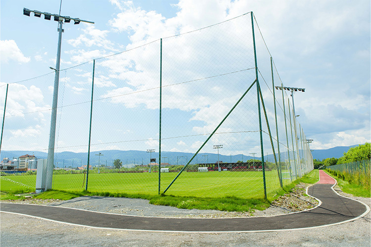 pista alergare