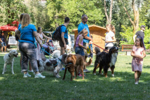 Pet Friendly Festival 1